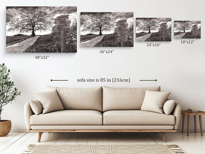 Tree Hill Pathway - Multi-Names Premium Custom Canvas Wall Art